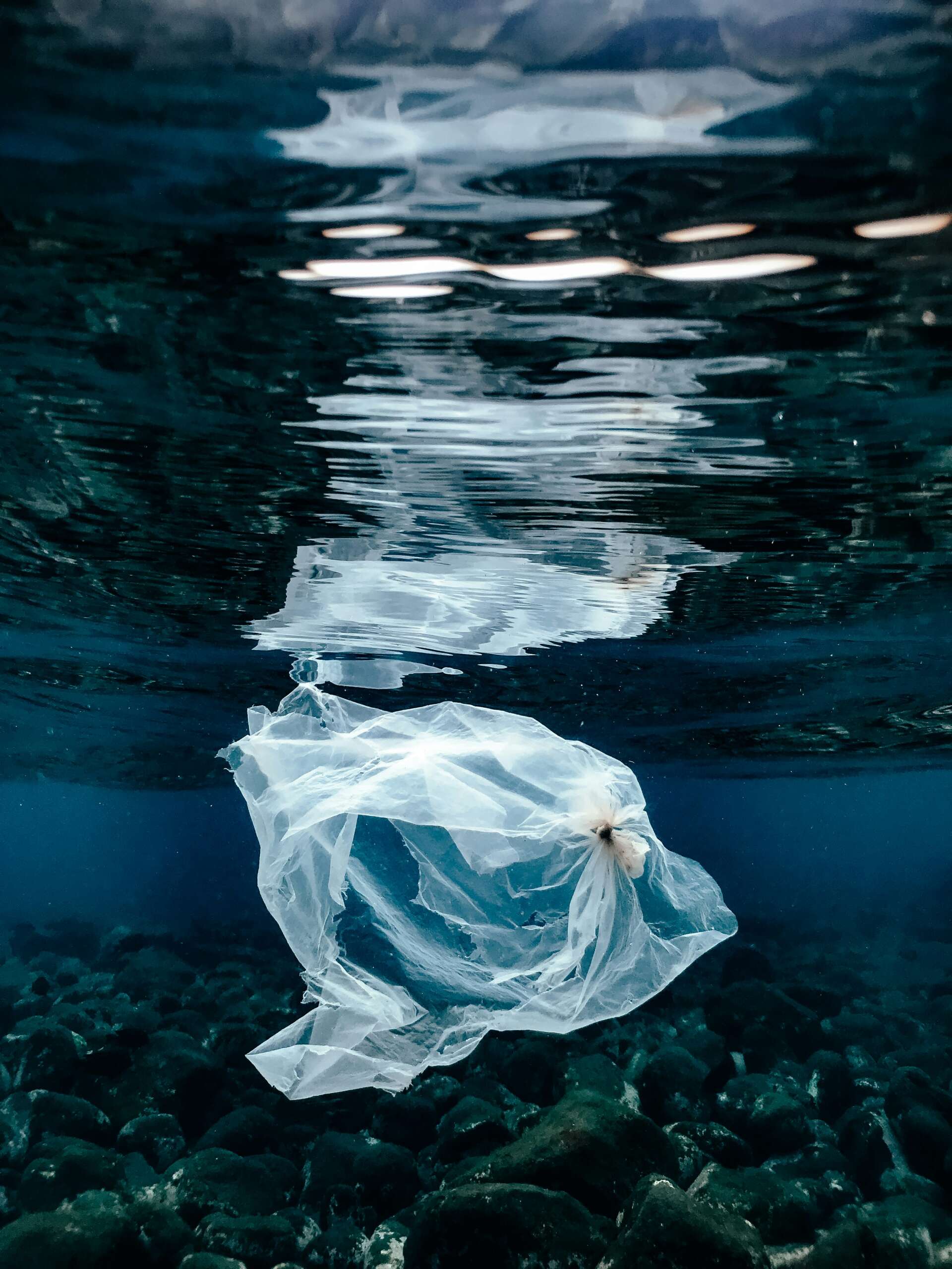 Discarded plastic bag drifting underwater beneath the sea surface